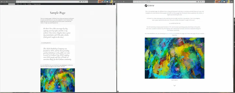 Sample page, page view